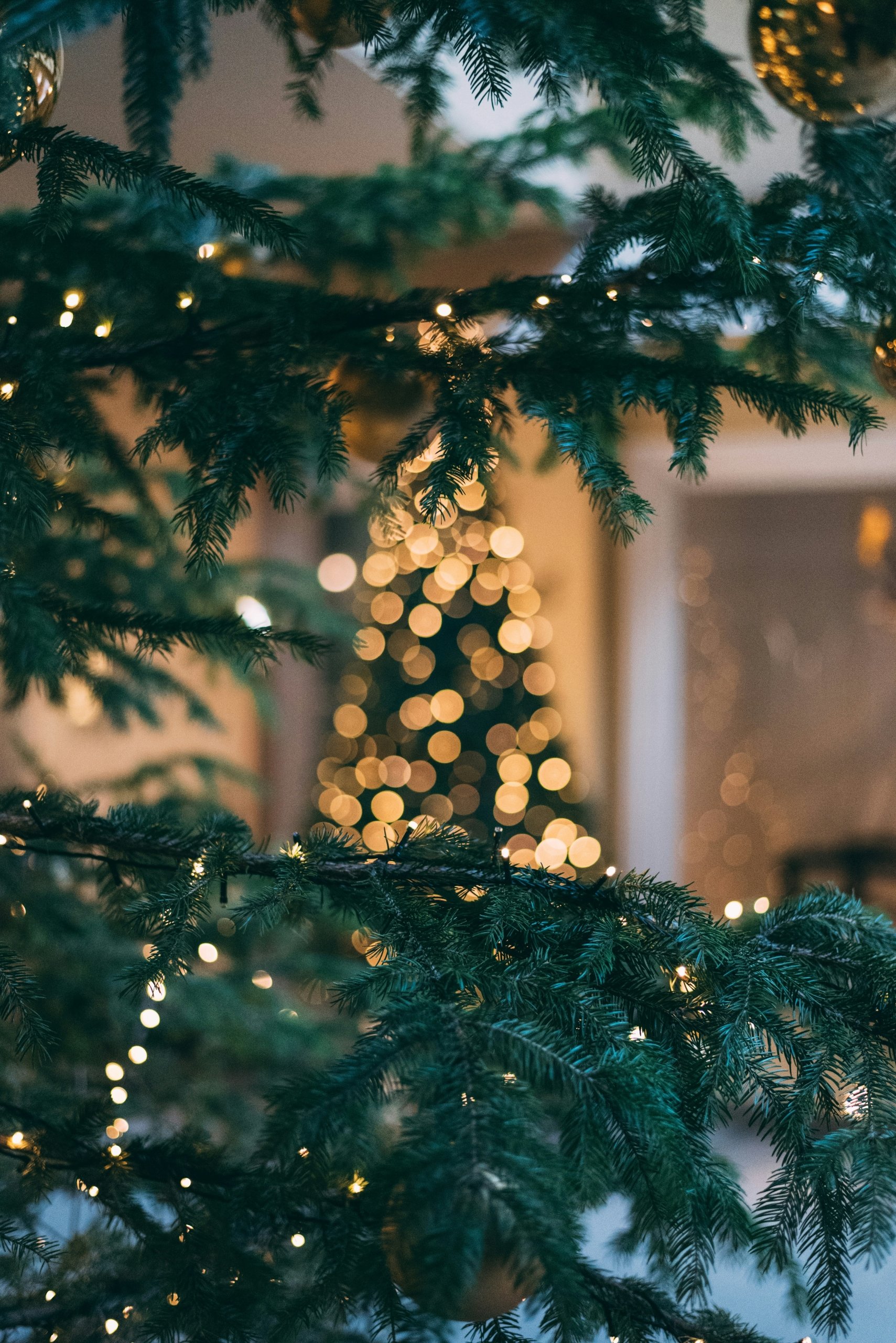 Holiday Tree at Hotel