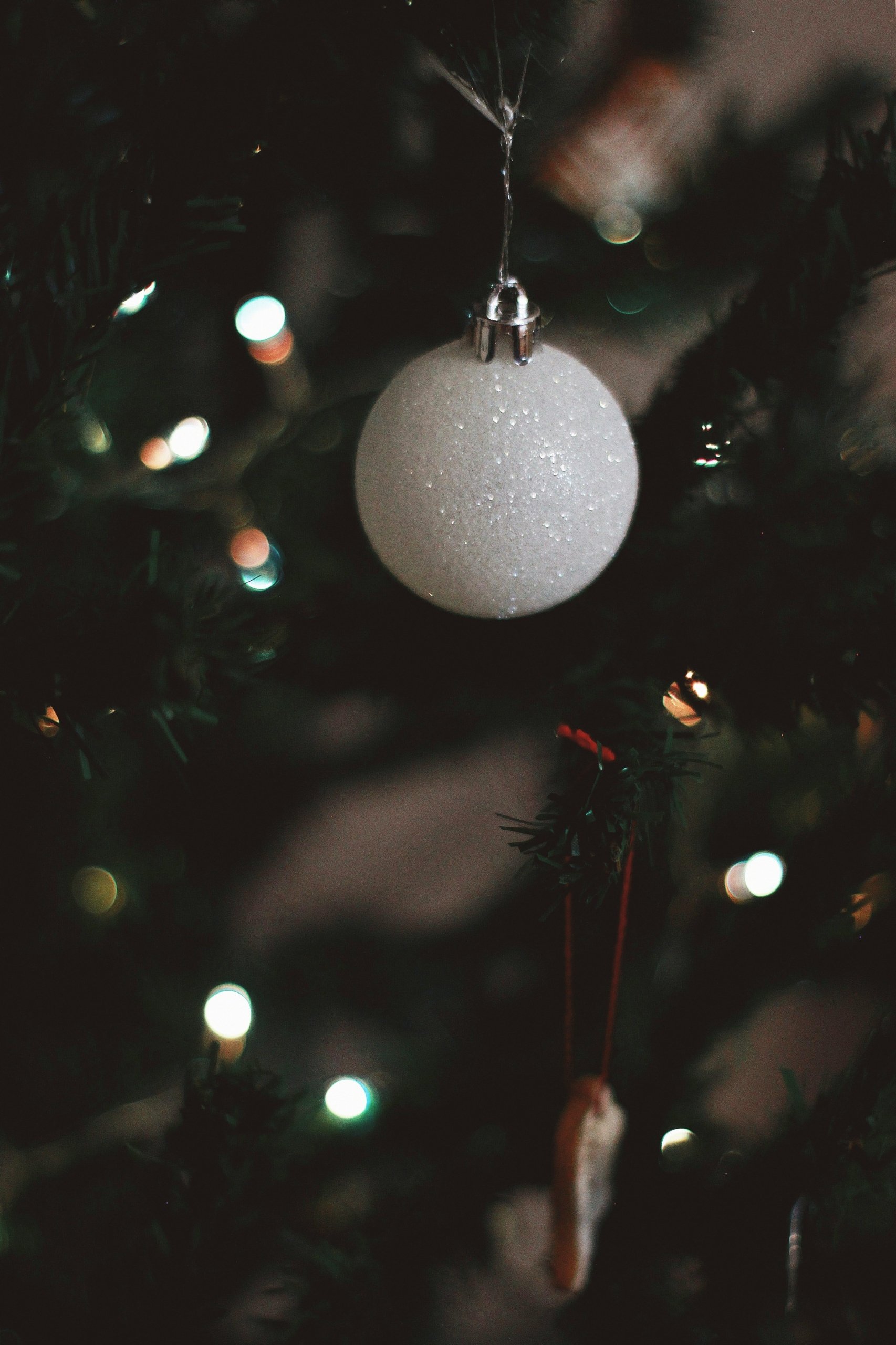 christmas ornament hanging from christmas tree